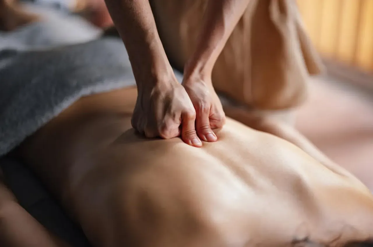 Deep tissue massage in Pinellas Park, FL at Renew Bodyworks Massage & Spa